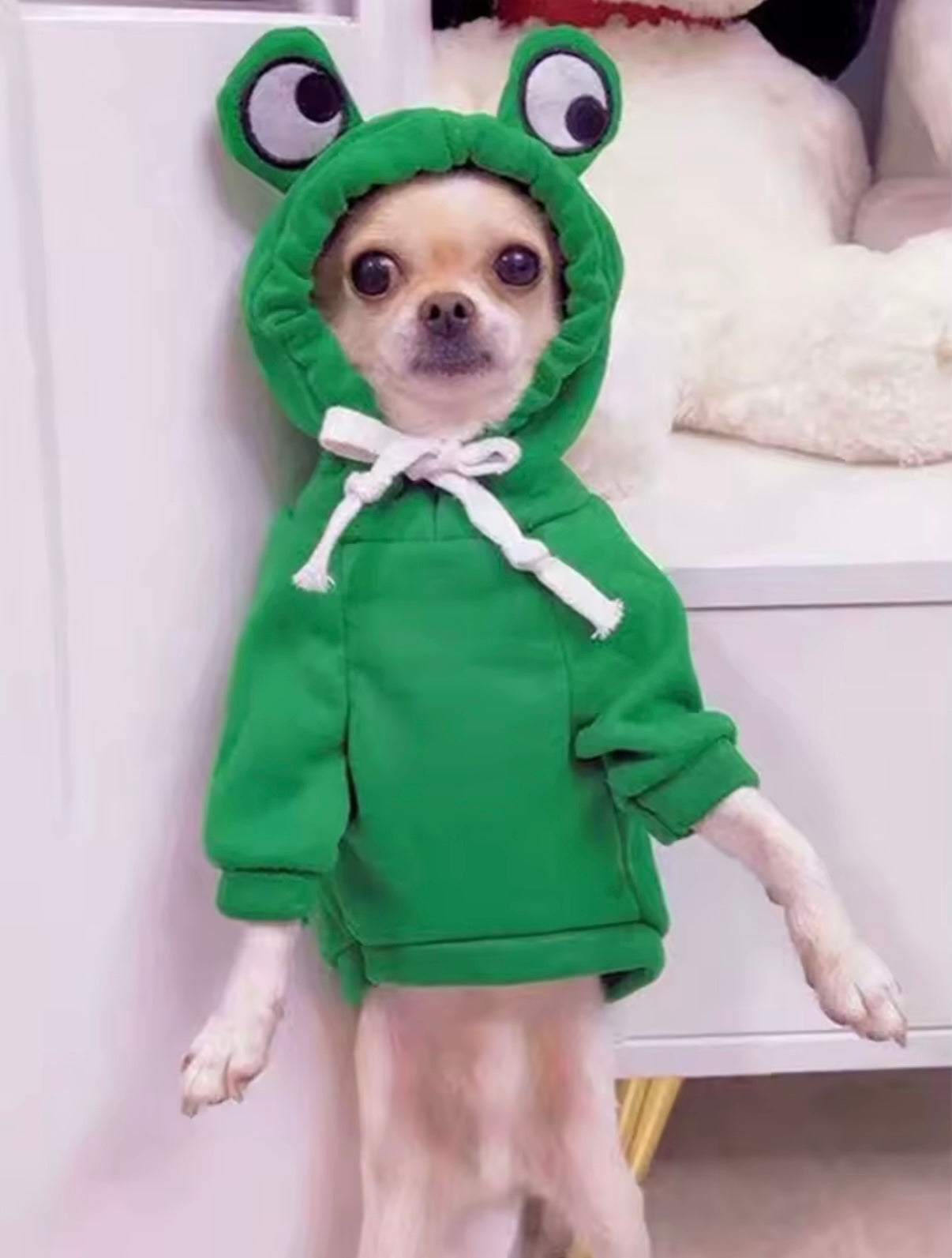 RuffPrints PuppyFrog Hoodie